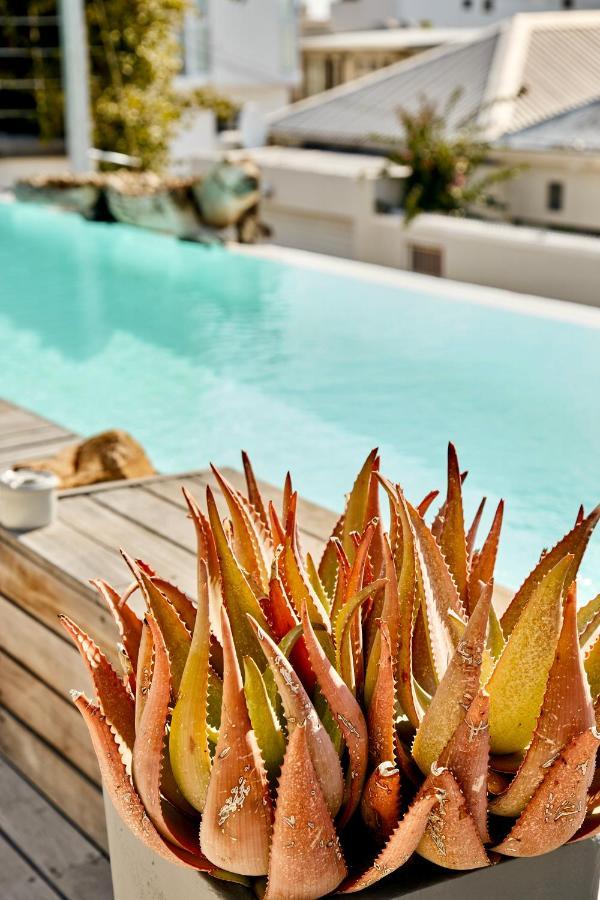 DysArt Boutique Hotel Le Cap Extérieur photo